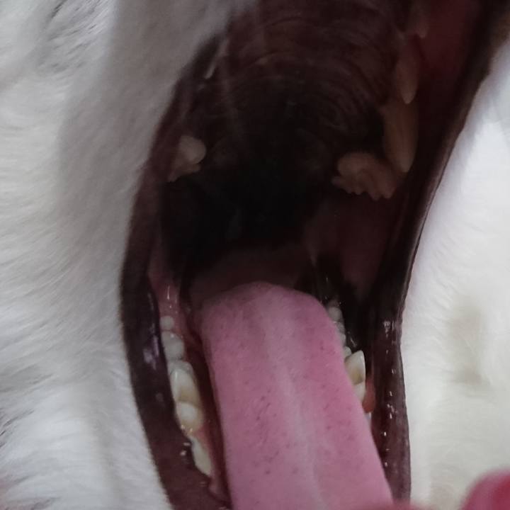 1953d361 7f87 48ef 9698 2bfad7f119c7 1576470983463