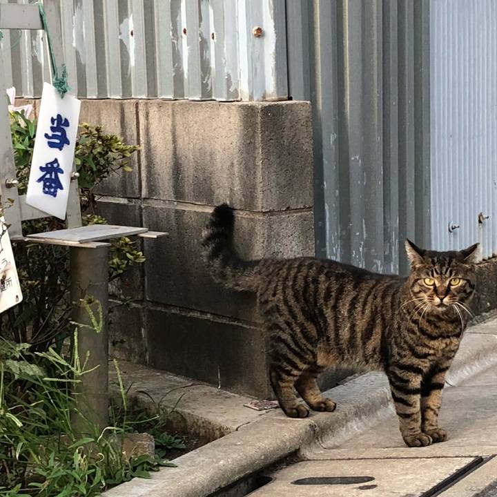 1953dfbf 7319 4de1 a663 fa193bed2b31 1536496242951