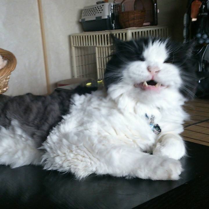 1953ecb6 7937 4e7b bfe0 61ee8ac7f736 1522029059796