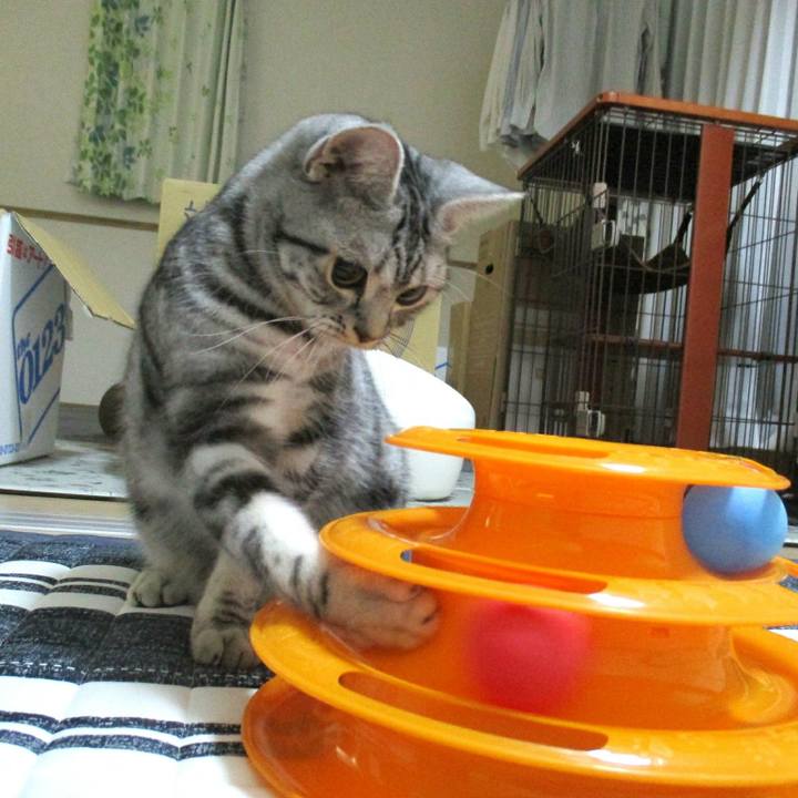 1953ee53 9c03 4a30 8cee 2fa66a521e7a 1545391774077