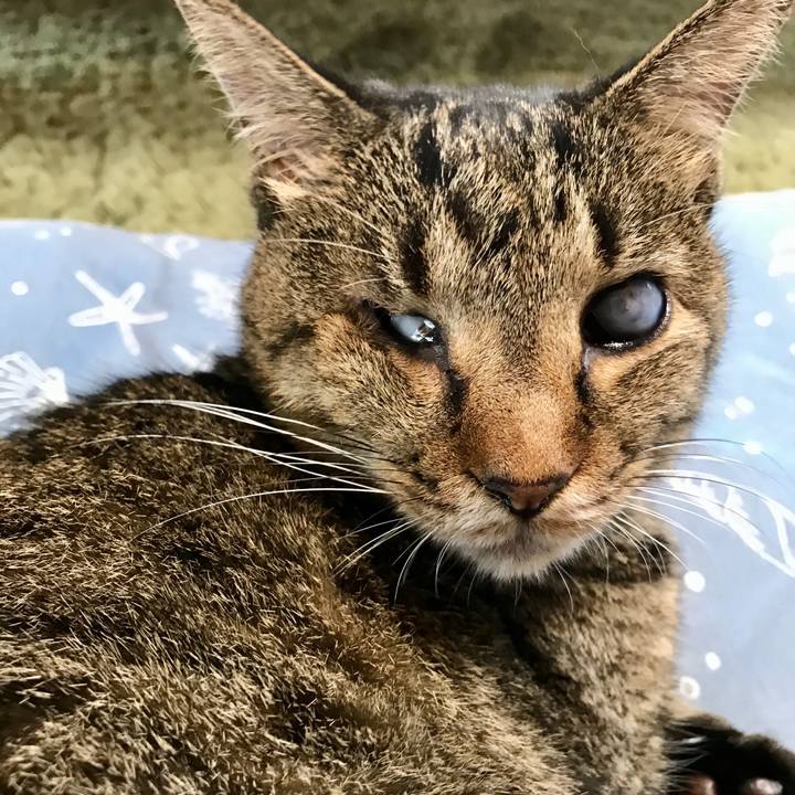 19540da6 871b 4267 a9fe 1c5003aee8e0 1571701806547