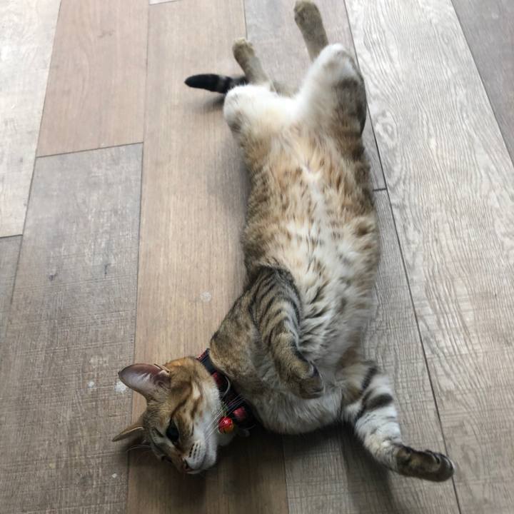 19546aa7 32b5 46c7 91c8 b152624fc596 1643257551543