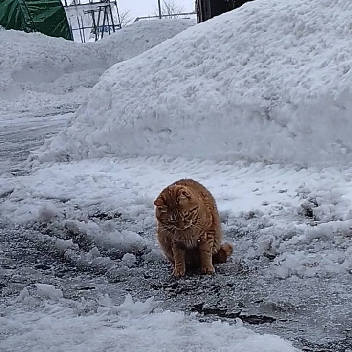 1954937e 0fe8 4c6e 85a8 20e5cdebf110 1675491304863