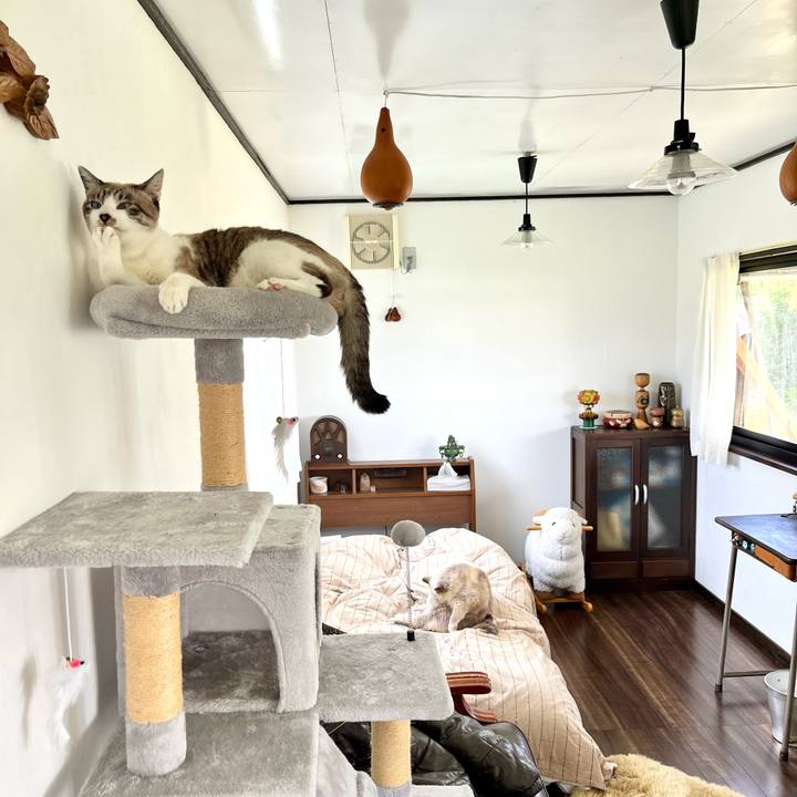 1954c64d 99ea 45ab a423 5a2d13c04226 1762160443410