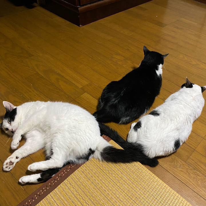 1954dbe3 4e69 46fa a976 4b627a766b58 1692612133720