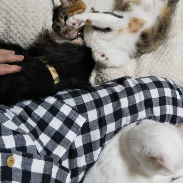 1954e25e 0671 4550 af1f 81f497d48a27 1639396792151