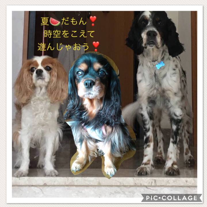 1954fbcc 6ffd 4237 b260 1a0925e65a6a 1532673527842