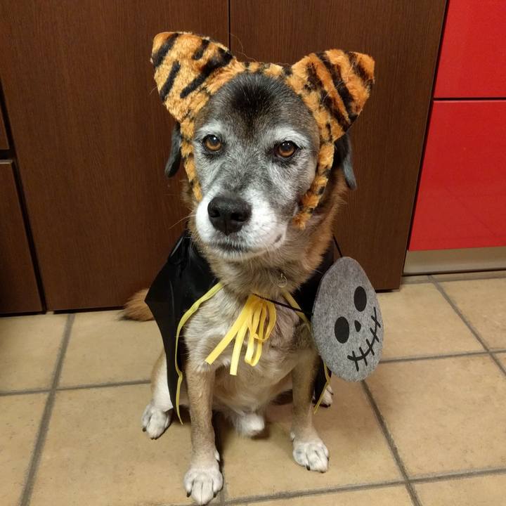 19550a45 ffd7 4625 ba77 ccaff26caf66 1649981747997