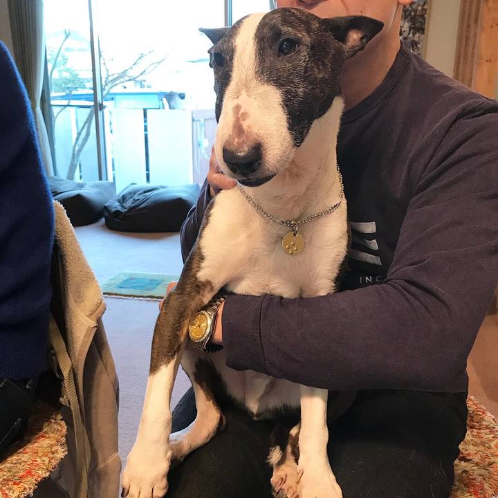 195553c8 caea 4675 8b0b aa1e5dbc08ad 1517041038049