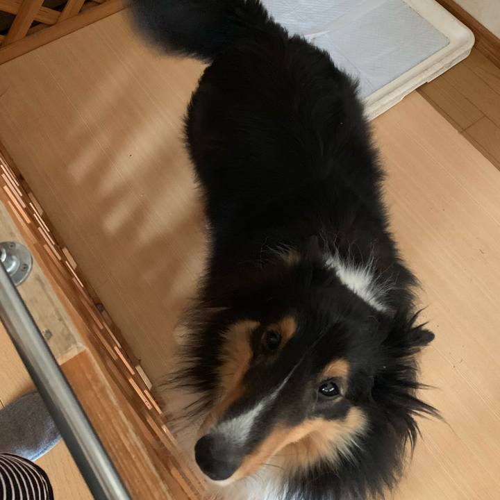 19558125 3e85 45b5 8baf 0b217bcb0e3e 1564268398164