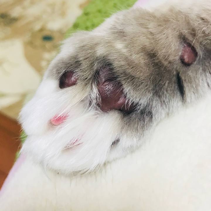 195581ef 9e74 444f b789 4a6c2a1f9b30 1517834247392