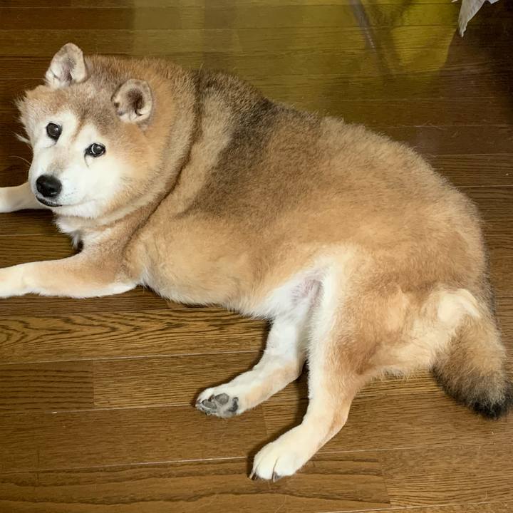 19559158 2e15 4811 8a5f 68d8ce2014fd 1624059792324