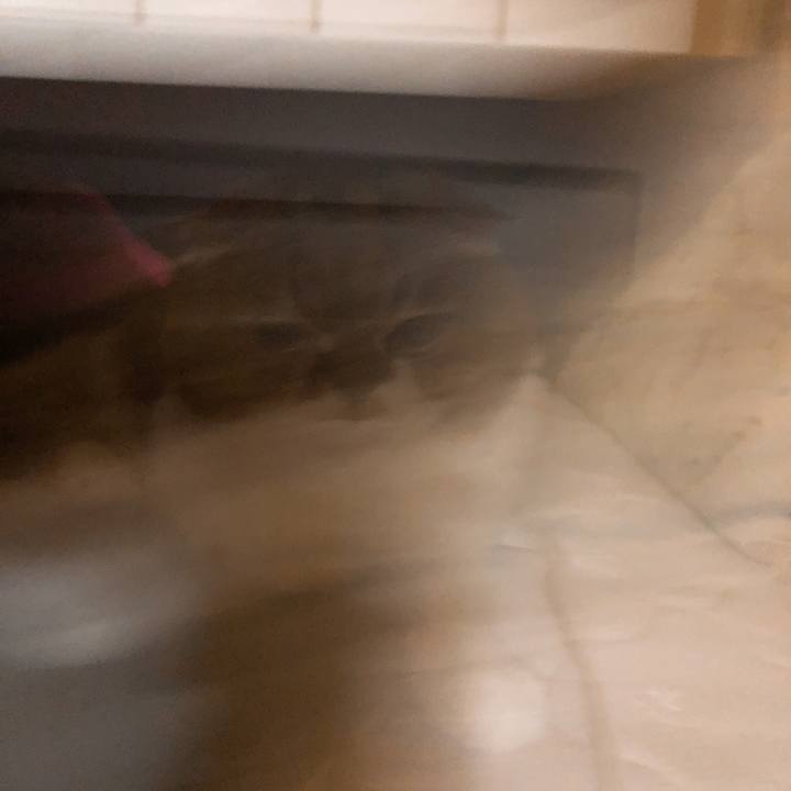 1955a968 ff8a 4158 aafb 0d0070637a27 1546183374716