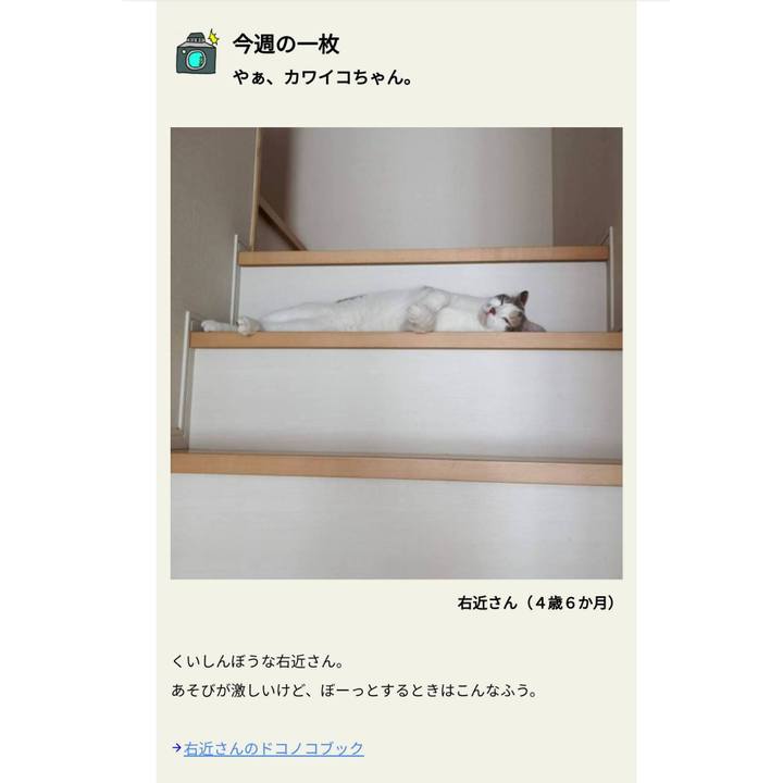 1955d675 8e10 48de 88ba 150bfc9961a8 1608091564438