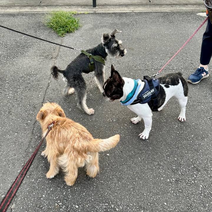 1955e67c c5c9 41ba a20d bc7b5084ee02 1721351750940