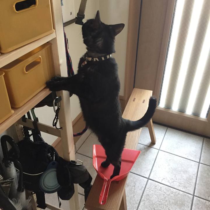 1955fec3 7920 4825 9fb8 db237442ade5 1525144232082