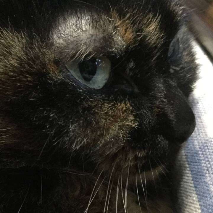 1956127b 0d97 4b44 9527 2b13f49c33ff 1577920615959