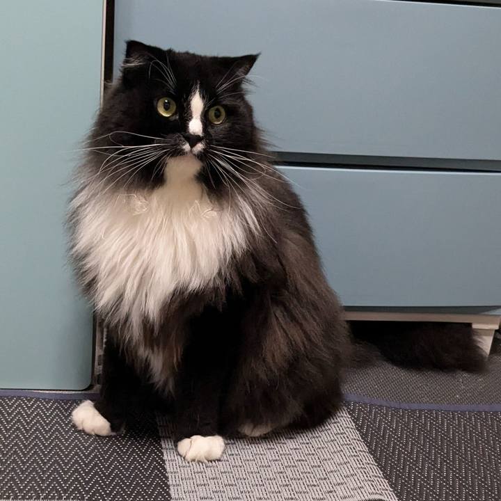 195648fd 8e64 4984 8f73 ba8ddafd265b 1723444338422