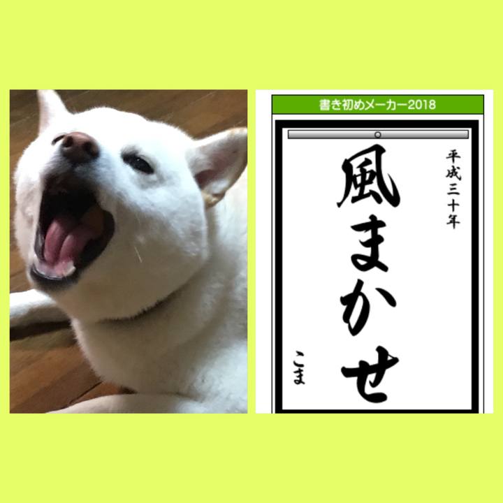 195653c2 78bf 4c80 ab34 12ec9da77e30 1514852380660