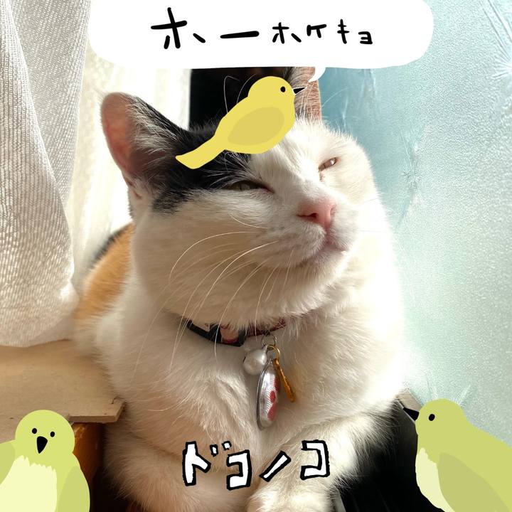 19565e5b 3bd8 4471 9496 00d4b79d1f59 1711021863283