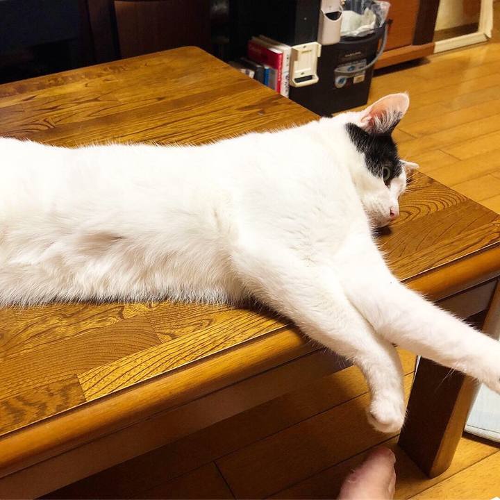 19568b24 0e2a 4a3c 893c 3de92a13fe27 1567691744141