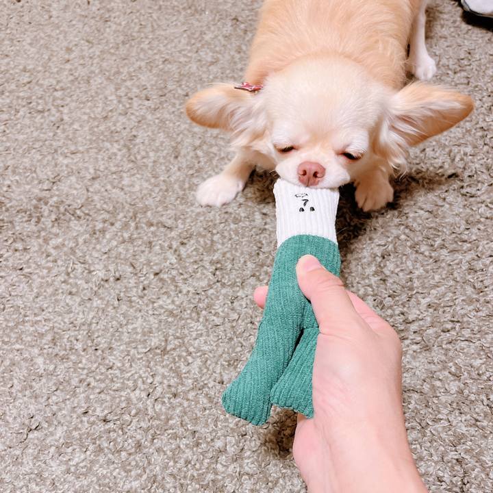 19569639 5f7b 4346 98c2 99d9013752a9 1661492149968