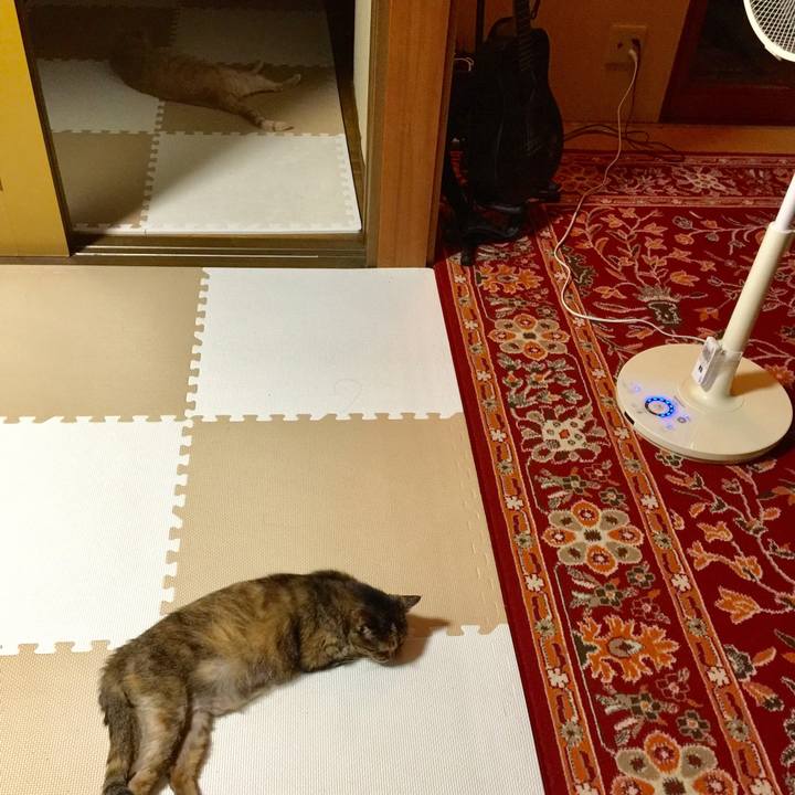 1956972b 69e0 42aa 946a 2c5f2961f24c 1598529467594