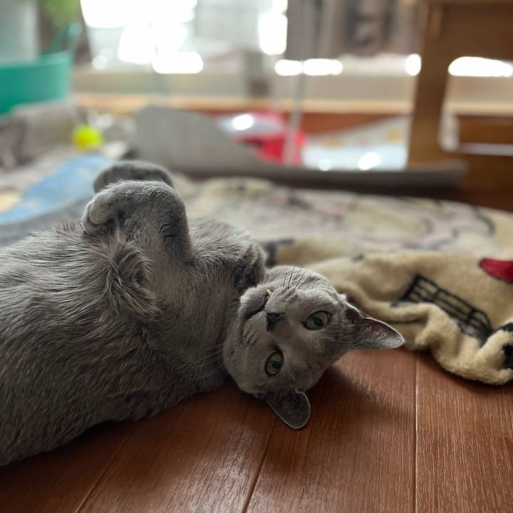 1956d697 d4d8 4313 9b35 21abca992641 1707653712256