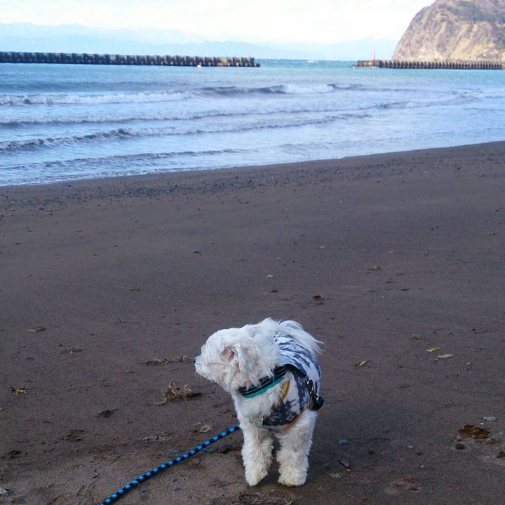 1956e773 bcb0 4928 8dd0 779bb2e062e5 1517825349457