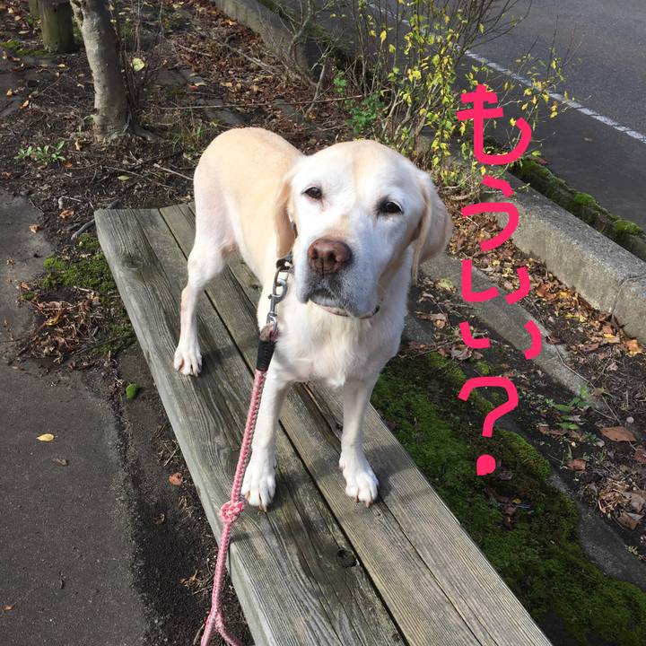 195728d4 27d2 467e 8f8e 095a122a1bba 1568894271713