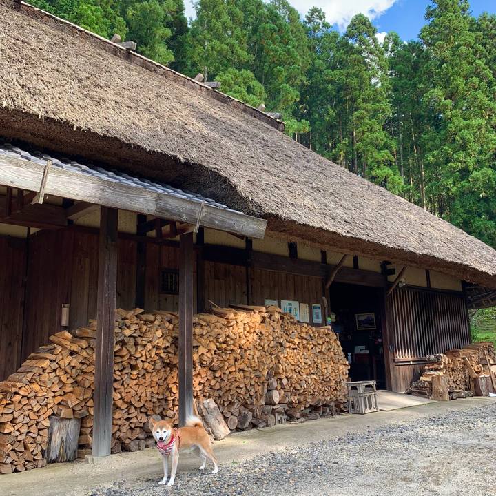 19572b1f f274 4c4c aaba 5108905feb29 1633337836097