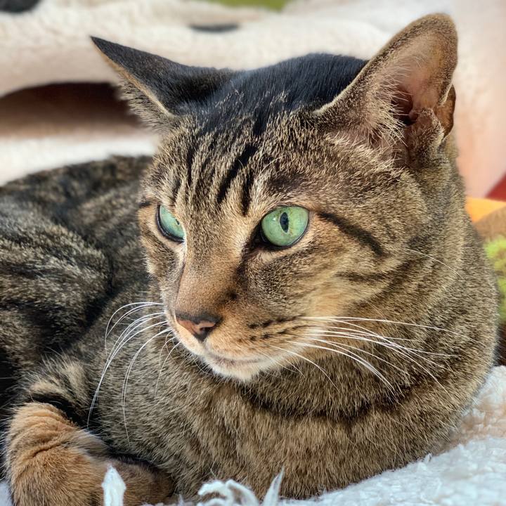 19577173 a695 4d56 8da6 f8541d597a3e 1583800849965