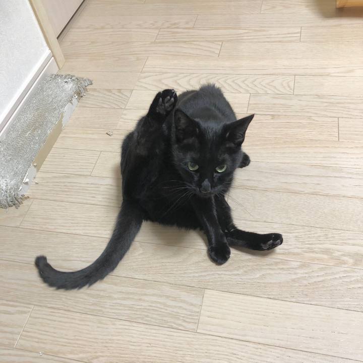 19578d8d 29ca 4a9e afb5 3381649a8381 1606481961335