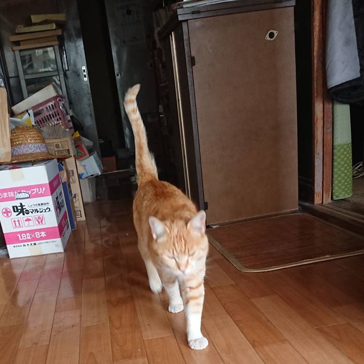 1957b908 0d82 4b74 bfab b6314358decc 1588399170133