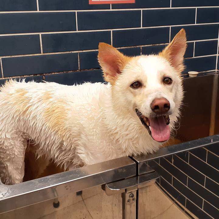 1957c708 38e5 4ad2 9872 8e3ec72cc5a8 1662870147060