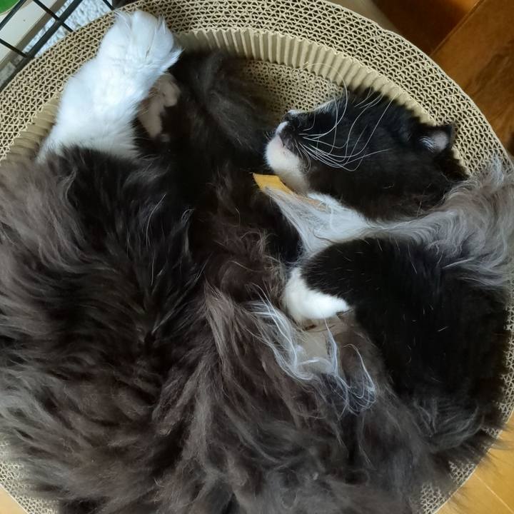 1957dfad 60ab 4f12 824a d7570e02223c 1699355773150