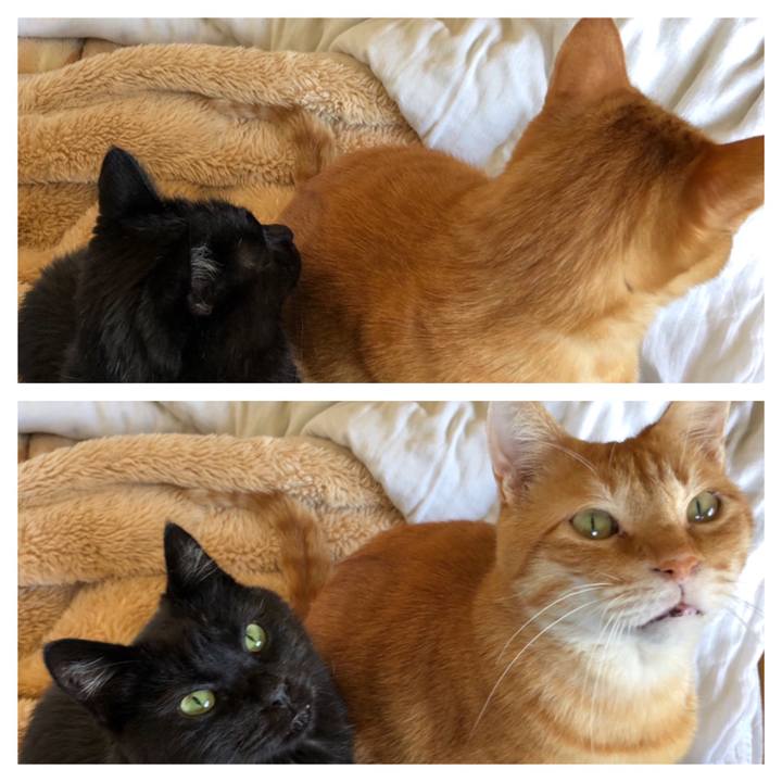 1957ee21 fad9 40bc 8209 64e6be1beee3 1602299176192