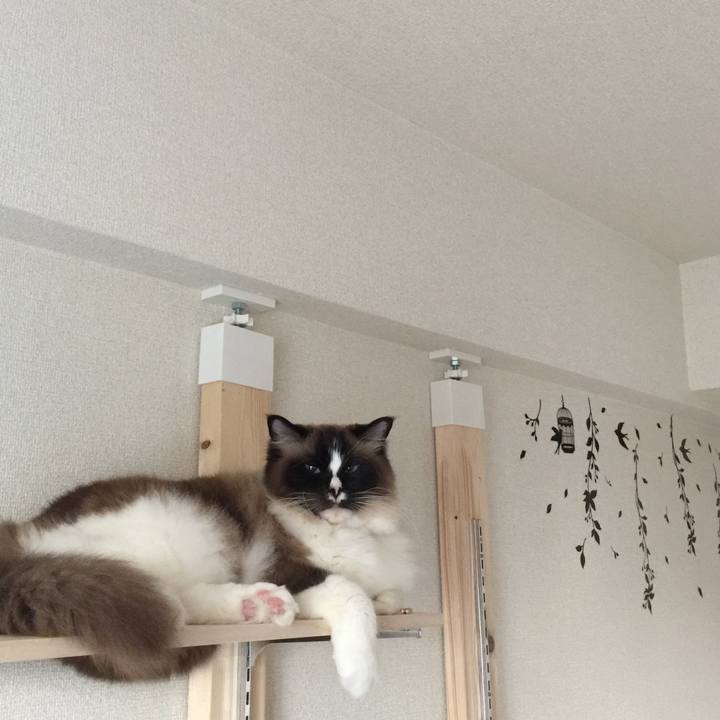 19582f0d 1a56 4ebe 8868 728b8fd40350 1525156022245