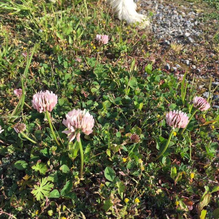 19584820 f0e9 41eb b651 1649c38069eb 1586993141501