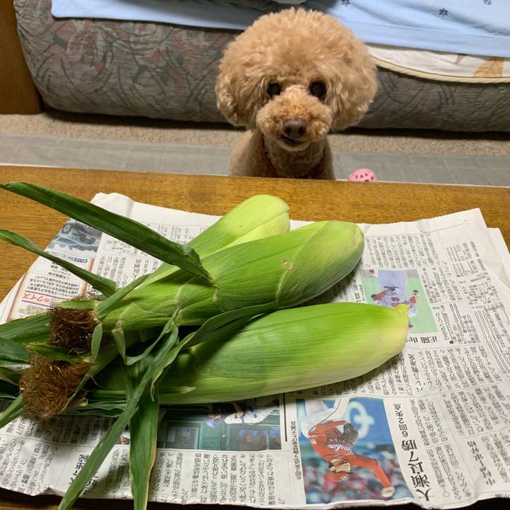 19586906 5895 42a4 adeb d52ea7a79504 1564749654226