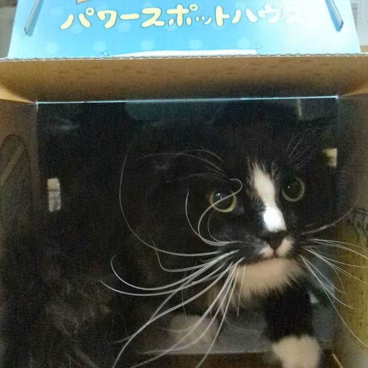 19589d70 5bd8 46b1 863a 67a807e08944 1742464275875