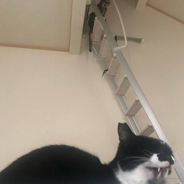 1958a170 3e66 4497 bfc0 acbac970da03 1588572999093