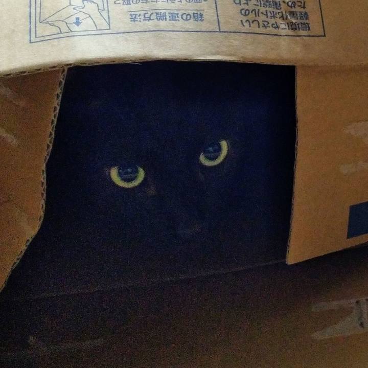 1958d654 3f63 4bae 817d ab795b18ef23 1571731021008