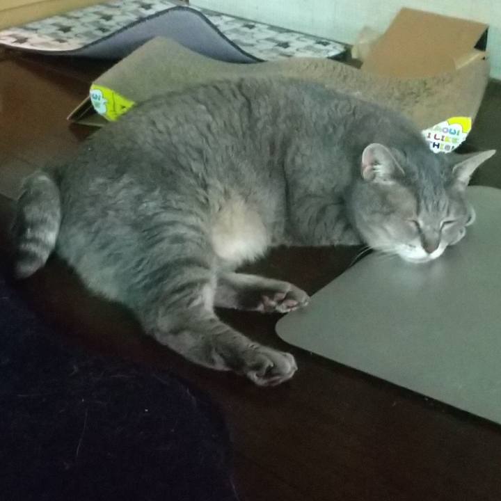 1958fd31 9655 468b 90f5 b44b28bb5f12 1656577199366