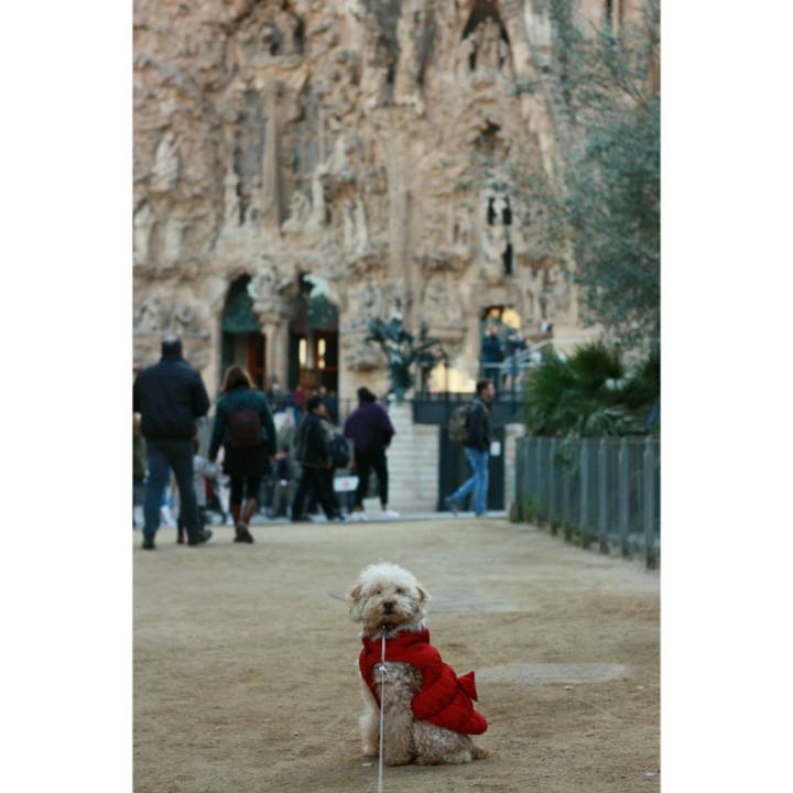 19591e4a e048 4284 80d0 bf86e5af5207 1544429791229