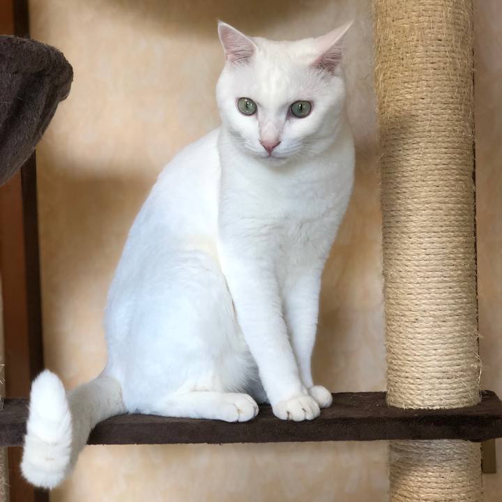 19592fec 05af 4da2 8e9b 22be7895950d 1569941322236