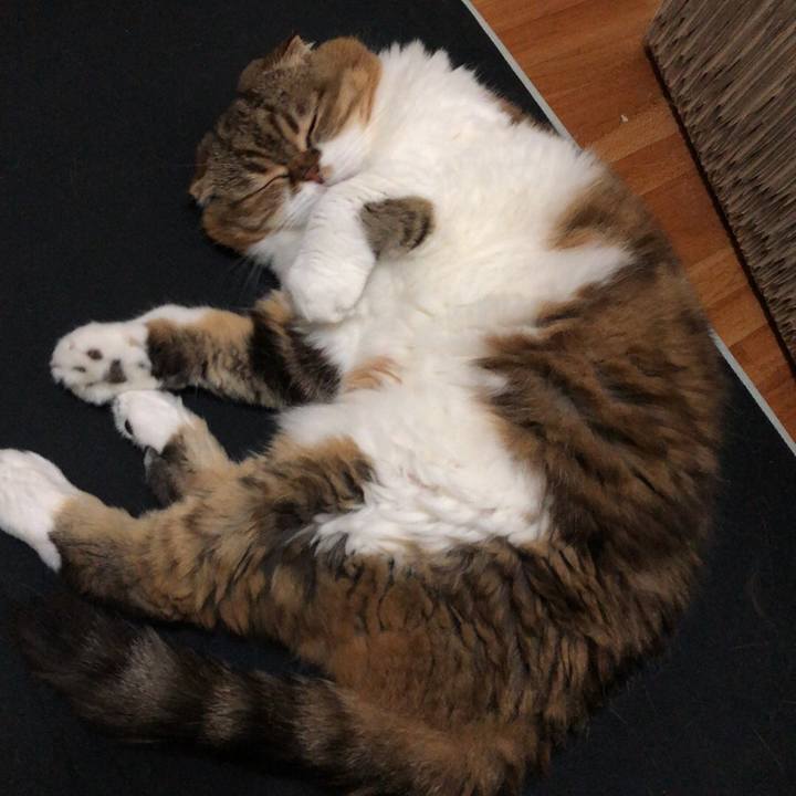 195943d3 dcf9 4559 87e7 b56c2d42f7a4 1536835095386