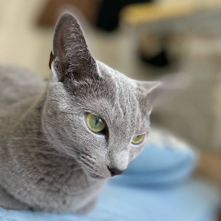 195949d8 4e62 4378 b67b cfc0d42a6155 1653693899698