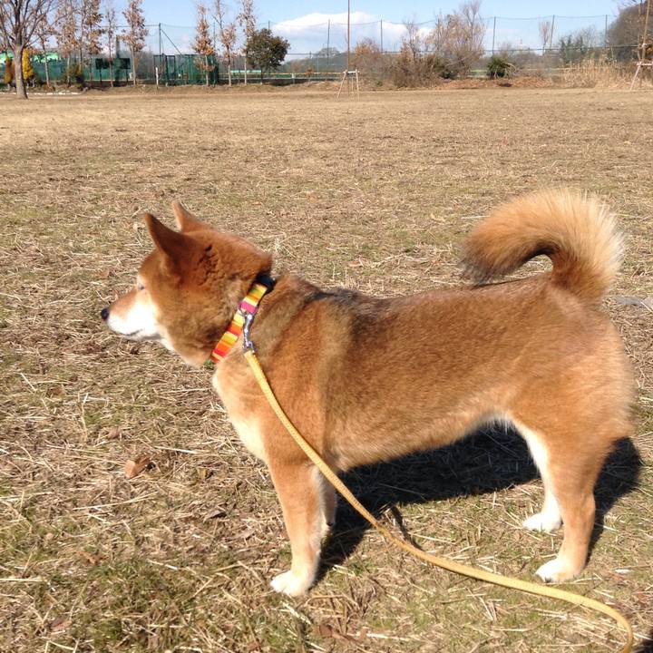 1959a238 0c96 45cf b3d2 99a120b6db1c 1517979226701