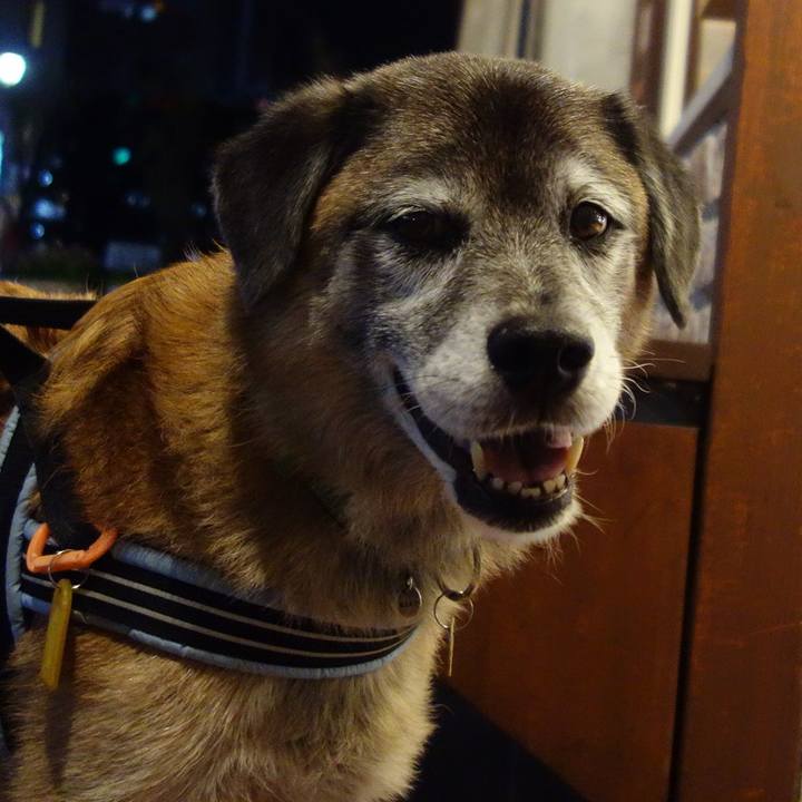 1959a856 9191 4ae4 b02d 8f8067da7013 1569667794572